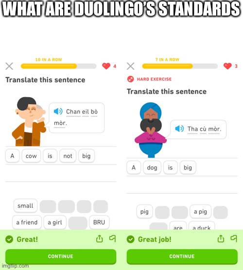 WHAT ARE DUOLINGO’S STANDARDS | made w/ Imgflip meme maker