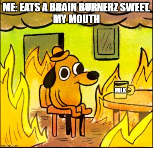 spicy sweets be like | ME: EATS A BRAIN BURNERZ SWEET.
MY MOUTH; MILK | image tagged in this is fine | made w/ Imgflip meme maker