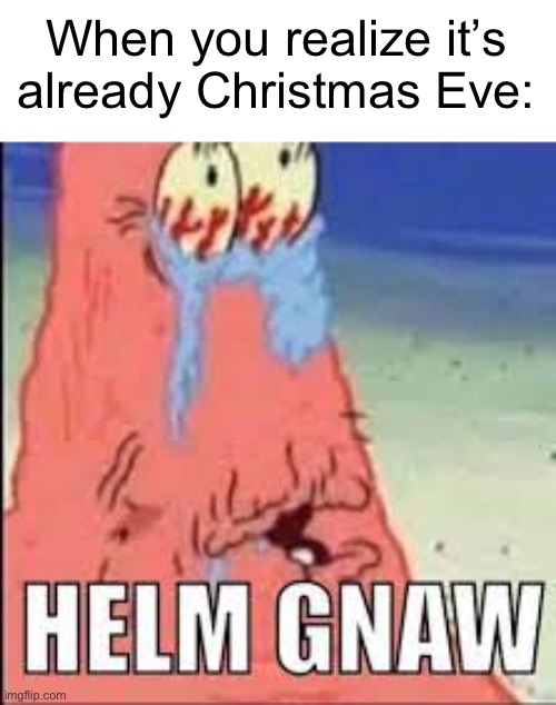 time is going too fast | When you realize it’s already Christmas Eve: | image tagged in helm gnaw,real,memes,funny | made w/ Imgflip meme maker