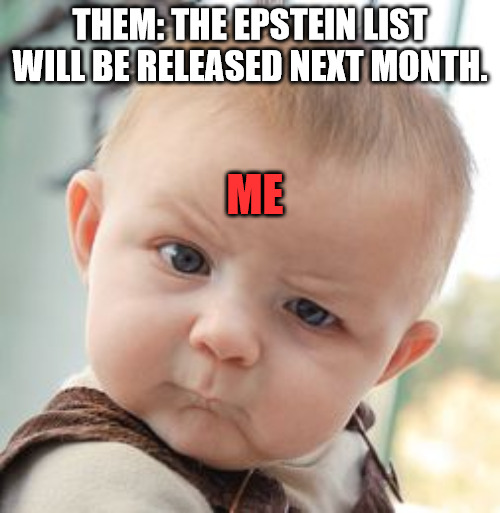Epstein List | THEM: THE EPSTEIN LIST WILL BE RELEASED NEXT MONTH. ME | image tagged in memes,skeptical baby | made w/ Imgflip meme maker