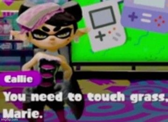 A true callie moment fr fr? | image tagged in touch grass | made w/ Imgflip meme maker