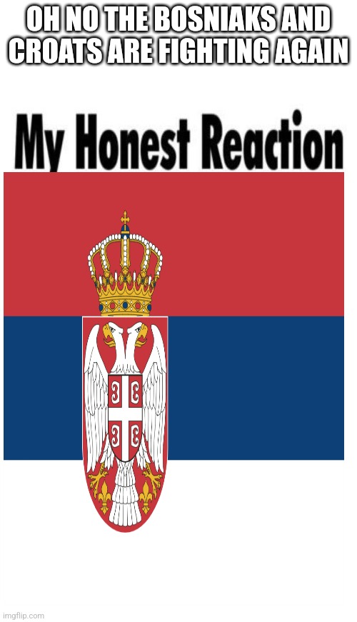 my honest reaction blank | OH NO THE BOSNIAKS AND CROATS ARE FIGHTING AGAIN | image tagged in my honest reaction blank | made w/ Imgflip meme maker