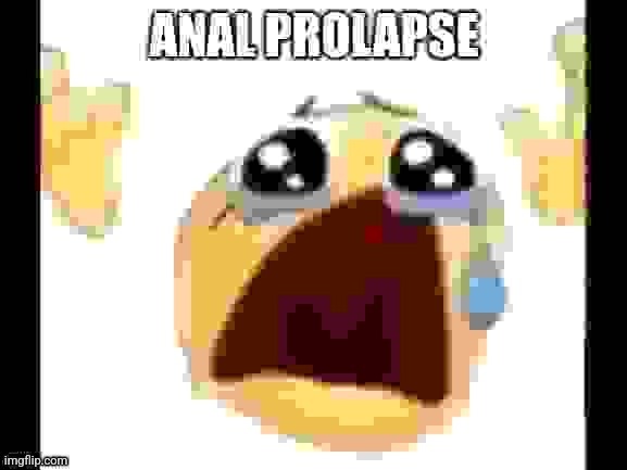 Prolapse | image tagged in prolapse | made w/ Imgflip meme maker