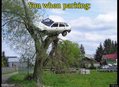 Secure Parking Meme | You when parking: | image tagged in memes,secure parking | made w/ Imgflip meme maker