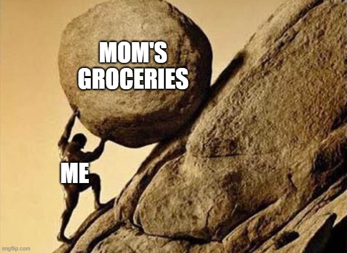 DUDE CARRYING A ROCK TO A HILL | ME MOM'S GROCERIES | image tagged in dude carrying a rock to a hill | made w/ Imgflip meme maker