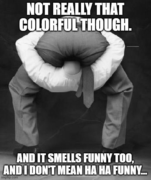 Head Up Ass | NOT REALLY THAT COLORFUL THOUGH. AND IT SMELLS FUNNY TOO, AND I DON'T MEAN HA HA FUNNY... | image tagged in head up ass | made w/ Imgflip meme maker