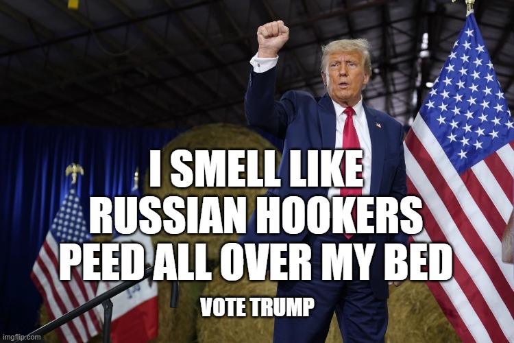 I SMELL LIKE
RUSSIAN HOOKERS
PEED ALL OVER MY BED; VOTE TRUMP | image tagged in trump,stinks | made w/ Imgflip meme maker