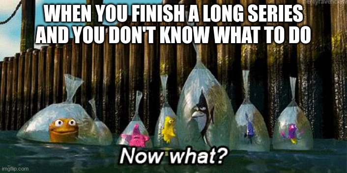 i feel sad when this happens | WHEN YOU FINISH A LONG SERIES AND YOU DON'T KNOW WHAT TO DO | image tagged in now what,series,pain,sads | made w/ Imgflip meme maker