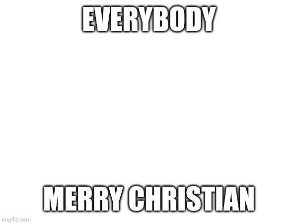 MERRY CHRISTMAS/CHRISTIAN | EVERYBODY; MERRY CHRISTIAN | image tagged in christmas | made w/ Imgflip meme maker