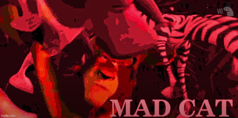 MAD CAT.mp3 | made w/ Imgflip meme maker