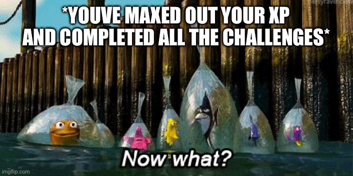 Now What? | *YOU'VE MAXED OUT YOUR XP AND COMPLETED ALL THE CHALLENGES* | image tagged in now what,video games,xp,finished,completed | made w/ Imgflip meme maker