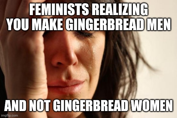 So sad | FEMINISTS REALIZING YOU MAKE GINGERBREAD MEN; AND NOT GINGERBREAD WOMEN | image tagged in memes,first world problems | made w/ Imgflip meme maker
