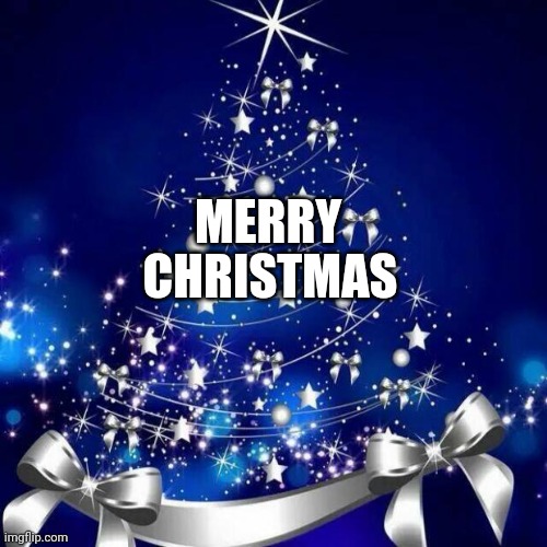 Merry Christmas  | CHRISTMAS; MERRY | image tagged in merry christmas | made w/ Imgflip meme maker