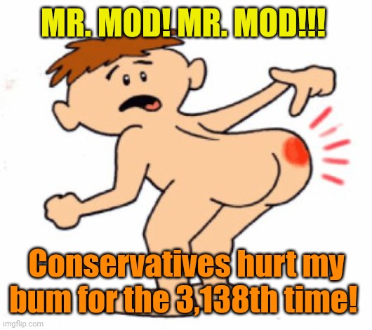 Butthurt | MR. MOD! MR. MOD!!! Conservatives hurt my bum for the 3,138th time! | image tagged in butthurt | made w/ Imgflip meme maker