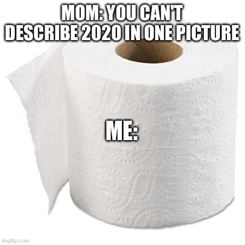 MOM: YOU CAN'T DESCRIBE 2020 IN ONE PICTURE; ME: | image tagged in toilet paper | made w/ Imgflip meme maker