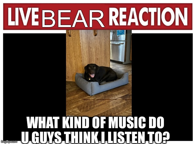 Trend time cause I bored | BEAR; WHAT KIND OF MUSIC DO U GUYS THINK I LISTEN TO? | image tagged in live reaction | made w/ Imgflip meme maker
