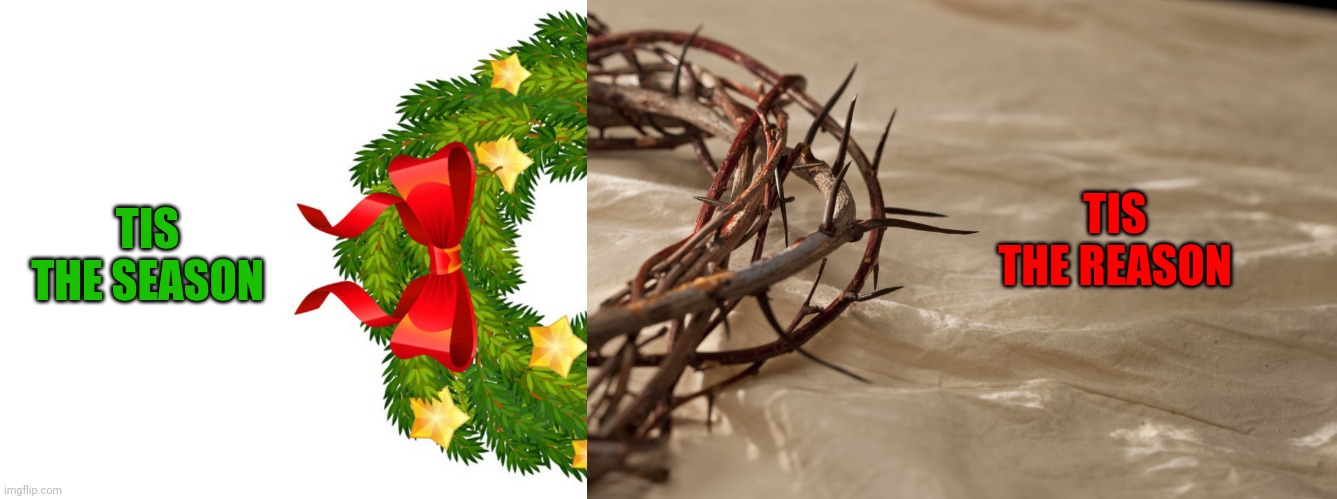 Merry Christmas everyone! | TIS THE REASON; TIS THE SEASON | image tagged in christmas wreath ribbon,crown of thorns,christmas,merry christmas | made w/ Imgflip meme maker