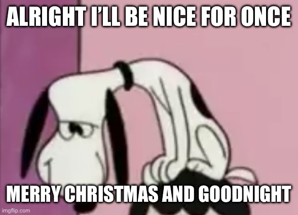 The snoops | ALRIGHT I’LL BE NICE FOR ONCE; MERRY CHRISTMAS AND GOODNIGHT | image tagged in the snoops | made w/ Imgflip meme maker