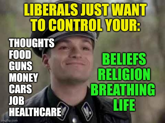 grammar nazi | LIBERALS JUST WANT
TO CONTROL YOUR:; THOUGHTS
FOOD
GUNS
MONEY
CARS
JOB
HEALTHCARE; BELIEFS
RELIGION
BREATHING 
LIFE | image tagged in grammar nazi | made w/ Imgflip meme maker