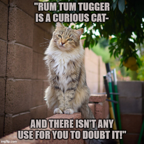 Rum Tum Tugger | image tagged in cat,cute cat,funny cats | made w/ Imgflip meme maker