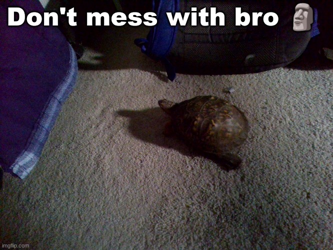 Don't mess with bro 🗿 | made w/ Imgflip meme maker