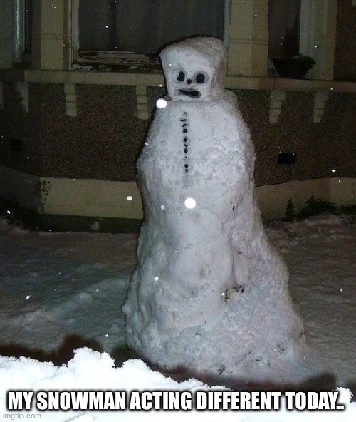 MY SNOWMAN ACTING DIFFERENT TODAY.. | made w/ Imgflip meme maker