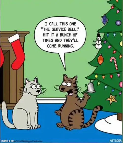Christmas always comes early for cats... | image tagged in repost,cats,christmas tree | made w/ Imgflip meme maker