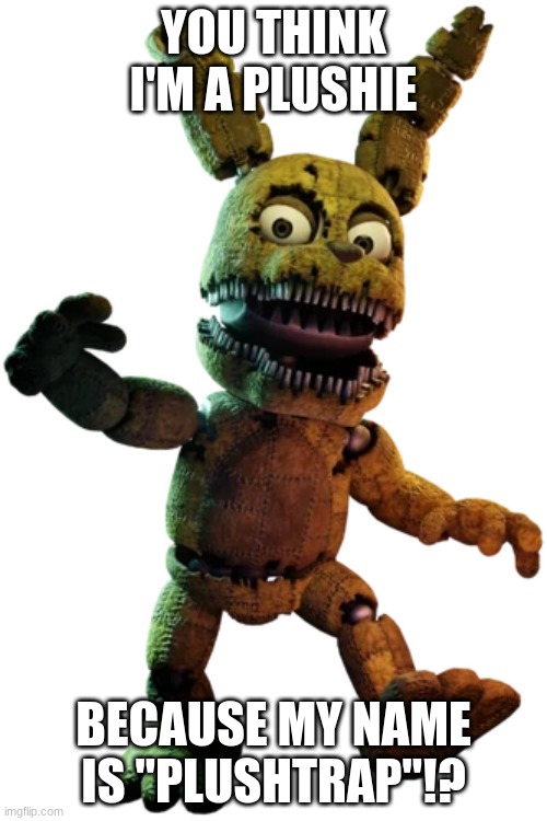 plushtrap plushie | YOU THINK I'M A PLUSHIE; BECAUSE MY NAME IS "PLUSHTRAP"!? | image tagged in plush,fnaf 4,fnaf | made w/ Imgflip meme maker