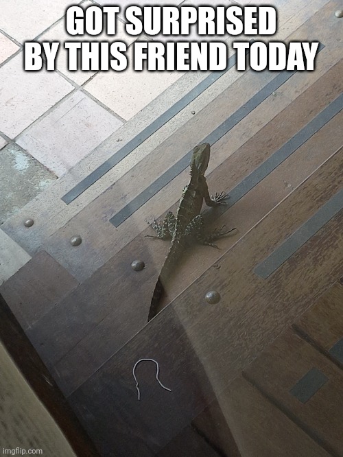 GOT SURPRISED BY THIS FRIEND TODAY | made w/ Imgflip meme maker