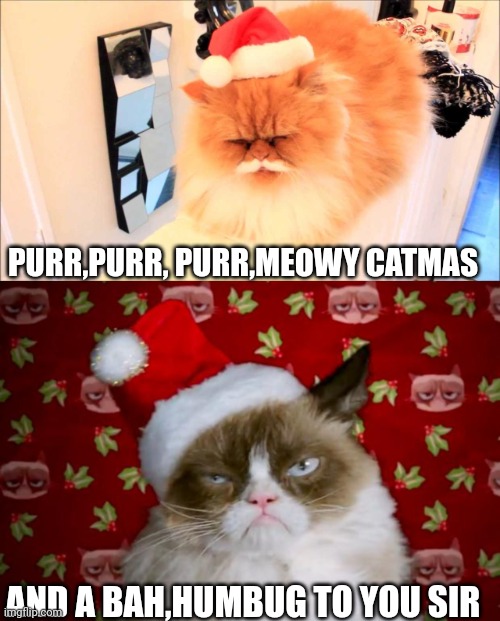 PURR,PURR, PURR,MEOWY CATMAS; AND A BAH,HUMBUG TO YOU SIR | image tagged in santa cat,grumpy santa cat | made w/ Imgflip meme maker