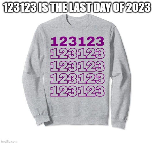 meme by Brad last day of 2023 | 123123 IS THE LAST DAY OF 2023 | image tagged in new years eve,new year,happy new year | made w/ Imgflip meme maker