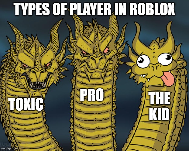 Three-headed Dragon | TYPES OF PLAYER IN ROBLOX; PRO; THE KID; TOXIC | image tagged in three-headed dragon | made w/ Imgflip meme maker