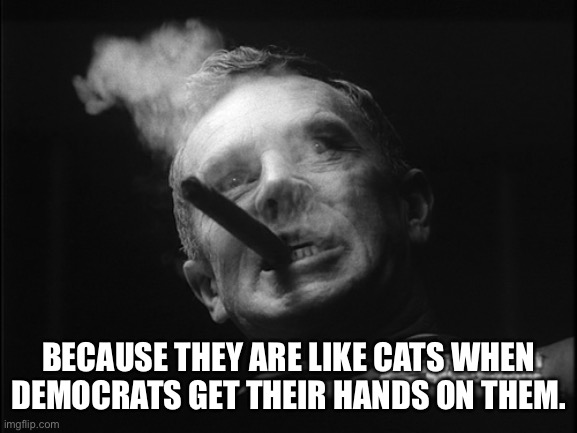 General Ripper (Dr. Strangelove) | BECAUSE THEY ARE LIKE CATS WHEN DEMOCRATS GET THEIR HANDS ON THEM. | image tagged in general ripper dr strangelove | made w/ Imgflip meme maker