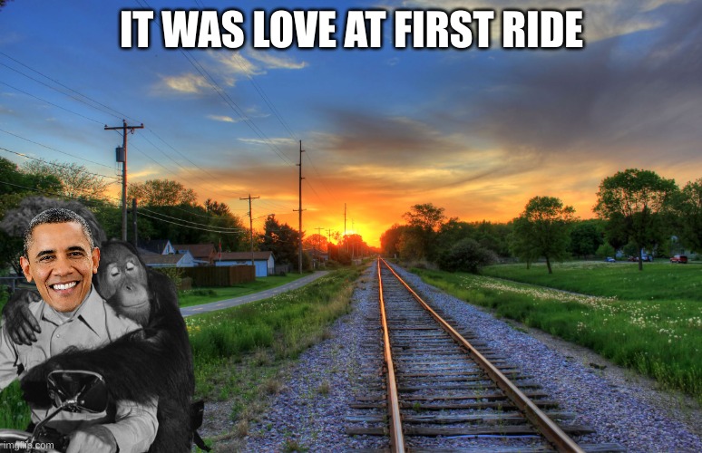 When Barry met Harambe | IT WAS LOVE AT FIRST RIDE | image tagged in june scenery | made w/ Imgflip meme maker