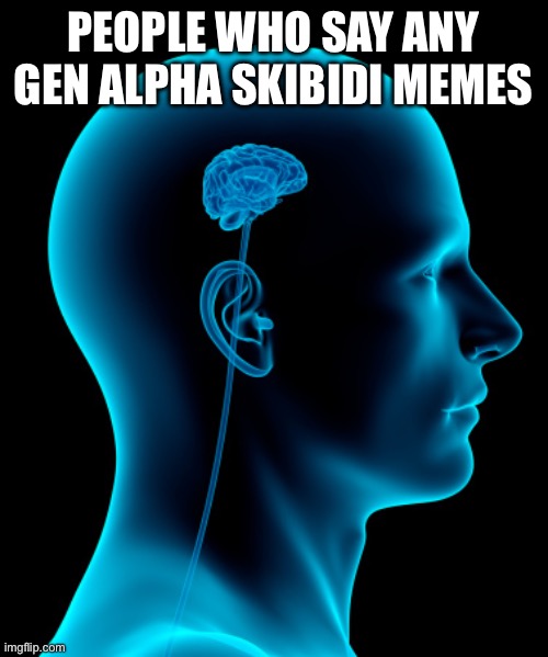 small brain | PEOPLE WHO SAY ANY GEN ALPHA SKIBIDI MEMES | image tagged in small brain | made w/ Imgflip meme maker