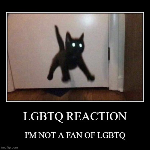lgbtq meme | LGBTQ REACTION | I'M NOT A FAN OF LGBTQ | image tagged in funny,demotivationals,lgbtq,cat | made w/ Imgflip demotivational maker