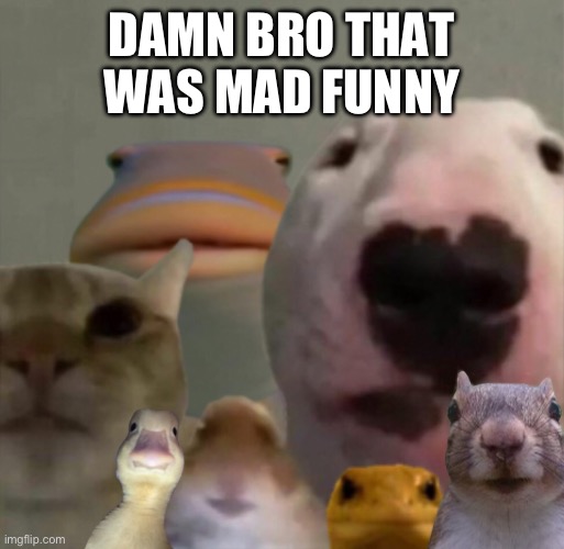 The council remastered | DAMN BRO THAT WAS MAD FUNNY | image tagged in the council remastered | made w/ Imgflip meme maker