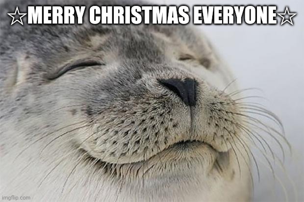 Satisfied Seal Meme | ☆MERRY CHRISTMAS EVERYONE☆ | image tagged in memes,satisfied seal | made w/ Imgflip meme maker