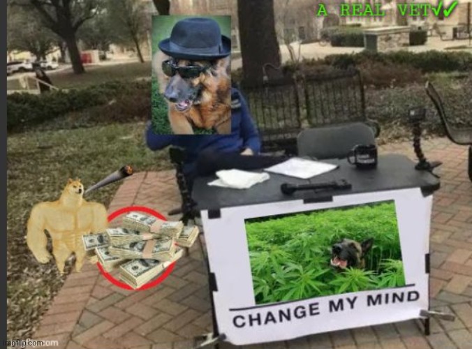 image tagged in fun,change my mind,legalize weed | made w/ Imgflip meme maker