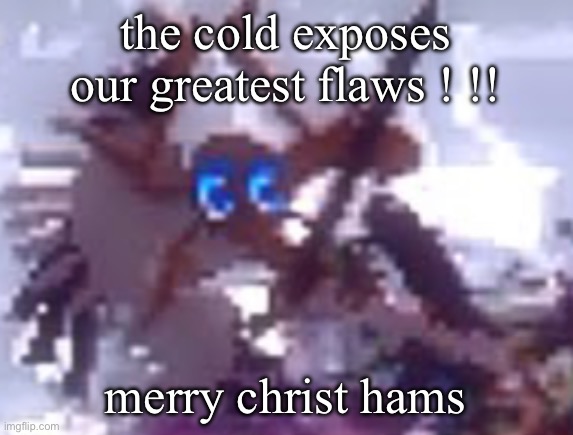 anarchy | the cold exposes our greatest flaws ! !! merry christ hams | image tagged in anarchy | made w/ Imgflip meme maker