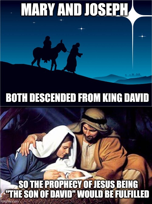 MARY AND JOSEPH; BOTH DESCENDED FROM KING DAVID; SO THE PROPHECY OF JESUS BEING "THE SON OF DAVID" WOULD BE FULFILLED | image tagged in mary and joseph,mary joseph and baby jesus | made w/ Imgflip meme maker