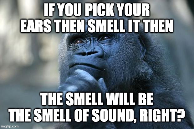 HUMMMM | IF YOU PICK YOUR EARS THEN SMELL IT THEN; THE SMELL WILL BE THE SMELL OF SOUND, RIGHT? | image tagged in deep thoughts | made w/ Imgflip meme maker
