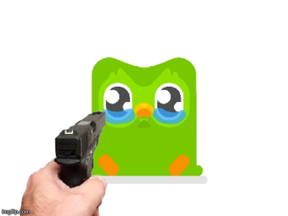 image tagged in duolingo gun | made w/ Imgflip meme maker