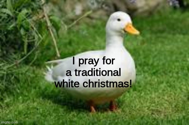 AAT3 | I pray for a traditional white christmas! | image tagged in aat3 | made w/ Imgflip meme maker