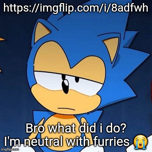 bruh | https://imgflip.com/i/8adfwh; Bro what did i do? I'm neutral with furries 😭 | image tagged in bruh | made w/ Imgflip meme maker