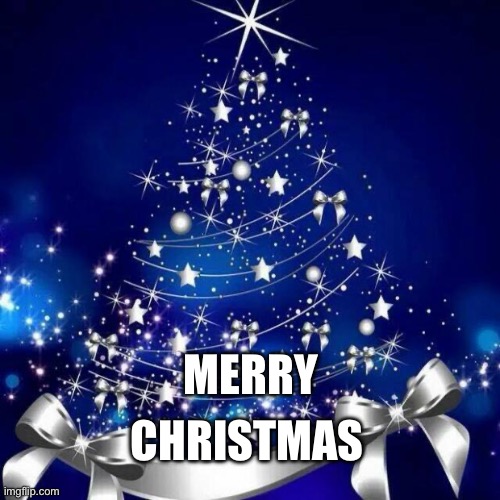Merry Christmas  | MERRY; CHRISTMAS | image tagged in merry christmas | made w/ Imgflip meme maker