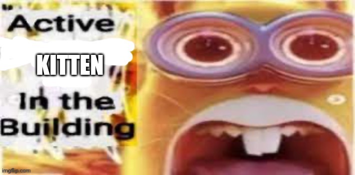 Active [Insert Situation Here] In the Building | KITTEN | image tagged in active insert situation here in the building | made w/ Imgflip meme maker