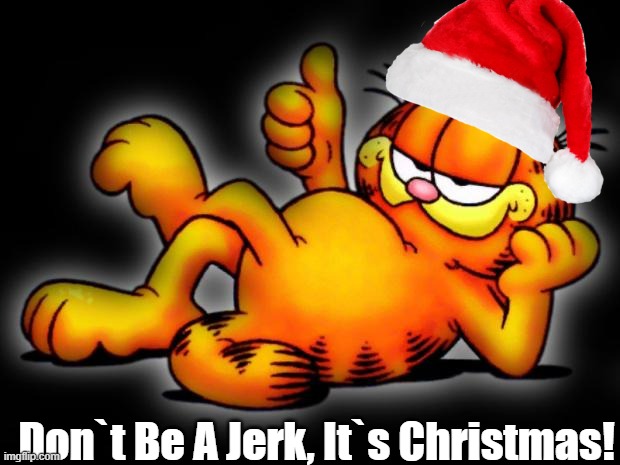 Garfield In The Holidays | Don`t Be A Jerk, It`s Christmas! | image tagged in garfield thumbs up | made w/ Imgflip meme maker