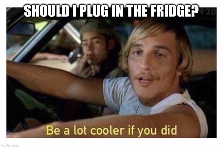 Bagél | SHOULD I PLUG IN THE FRIDGE? | image tagged in be a lot cooler if you did | made w/ Imgflip meme maker