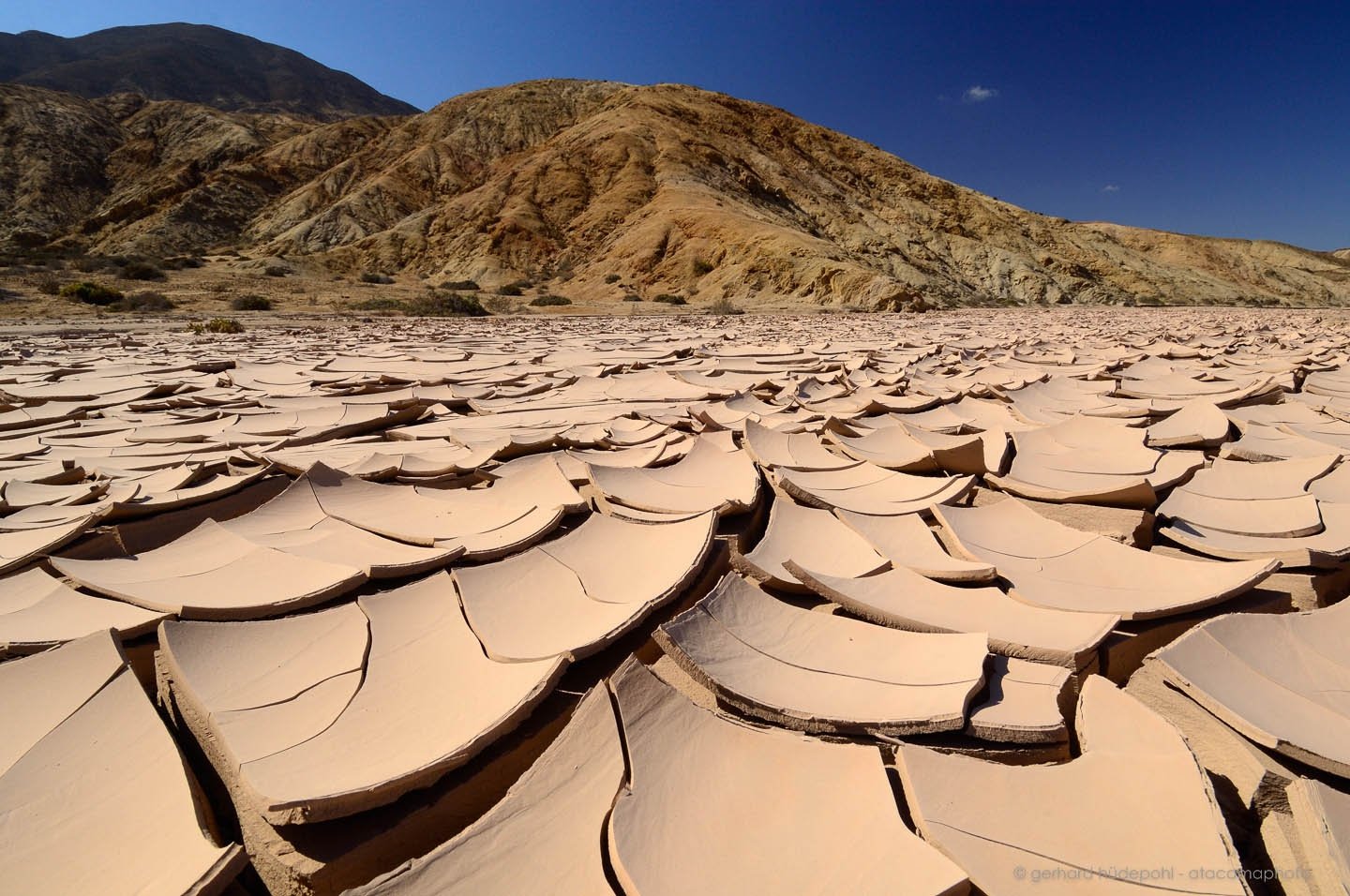 Driest desert in the world Blank Meme Template